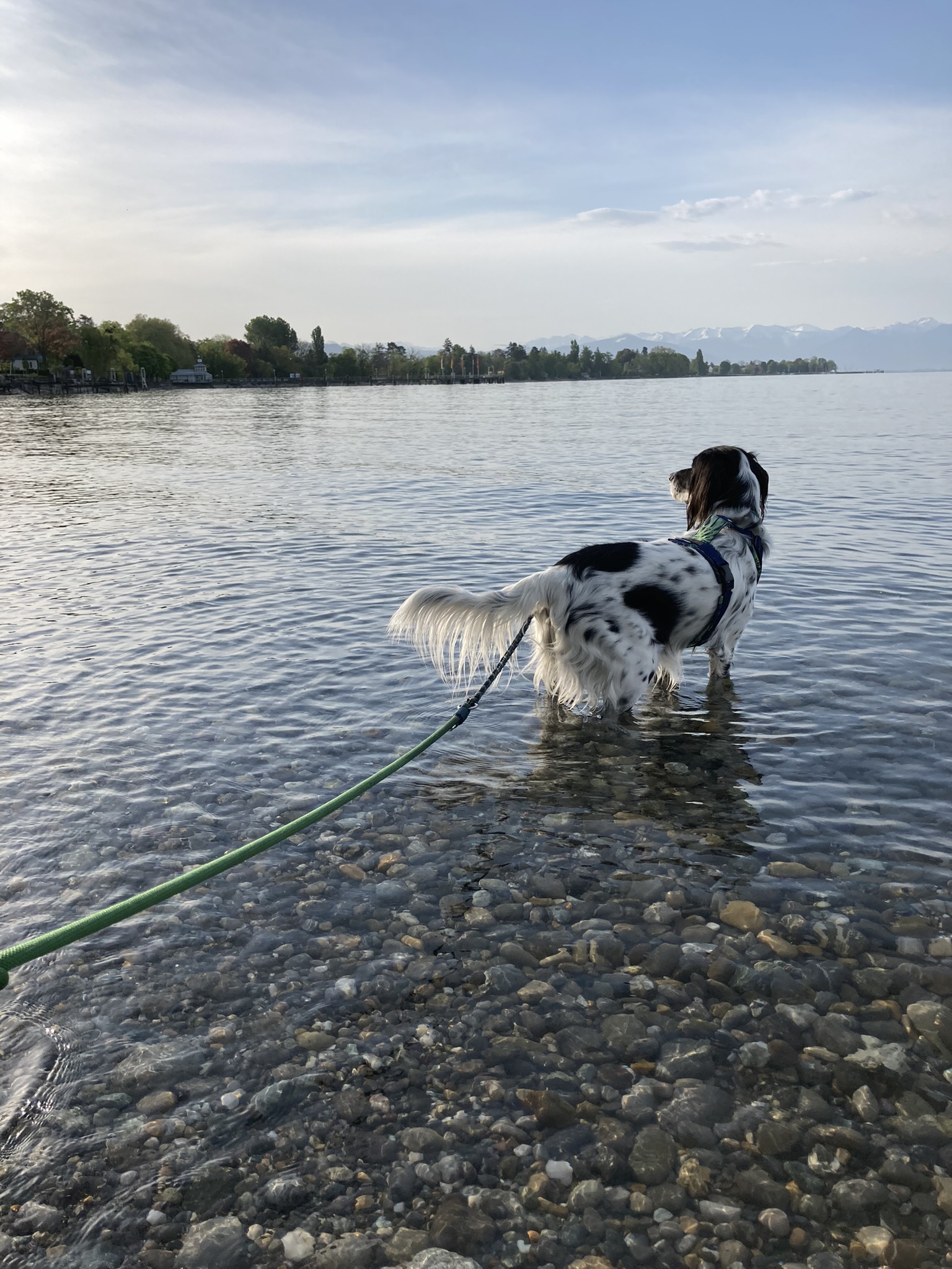 Konfrontationstherapie oder Übers Allgäu an den Bodensee